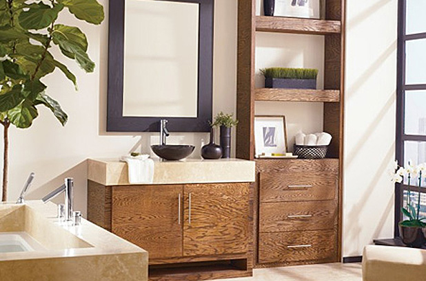 Moen Bath and Sink