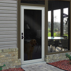 DuraGuard Storm Doors
