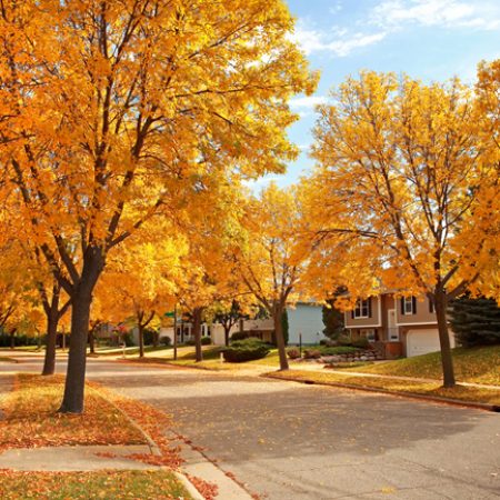 Working on your home in fall