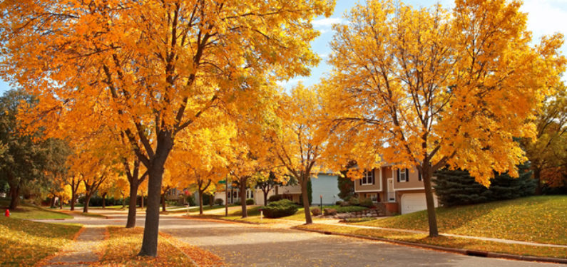 Working on your home in fall