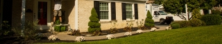 beautiful concrete walkway in front of a home