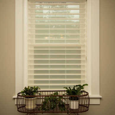 window with sheer blinds