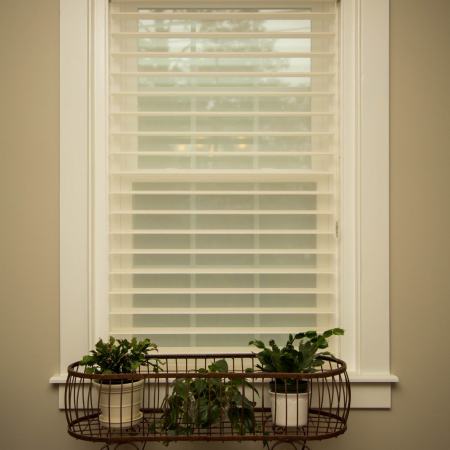 window with sheer blinds