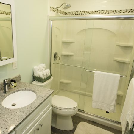 Paris - bathroom remodel after