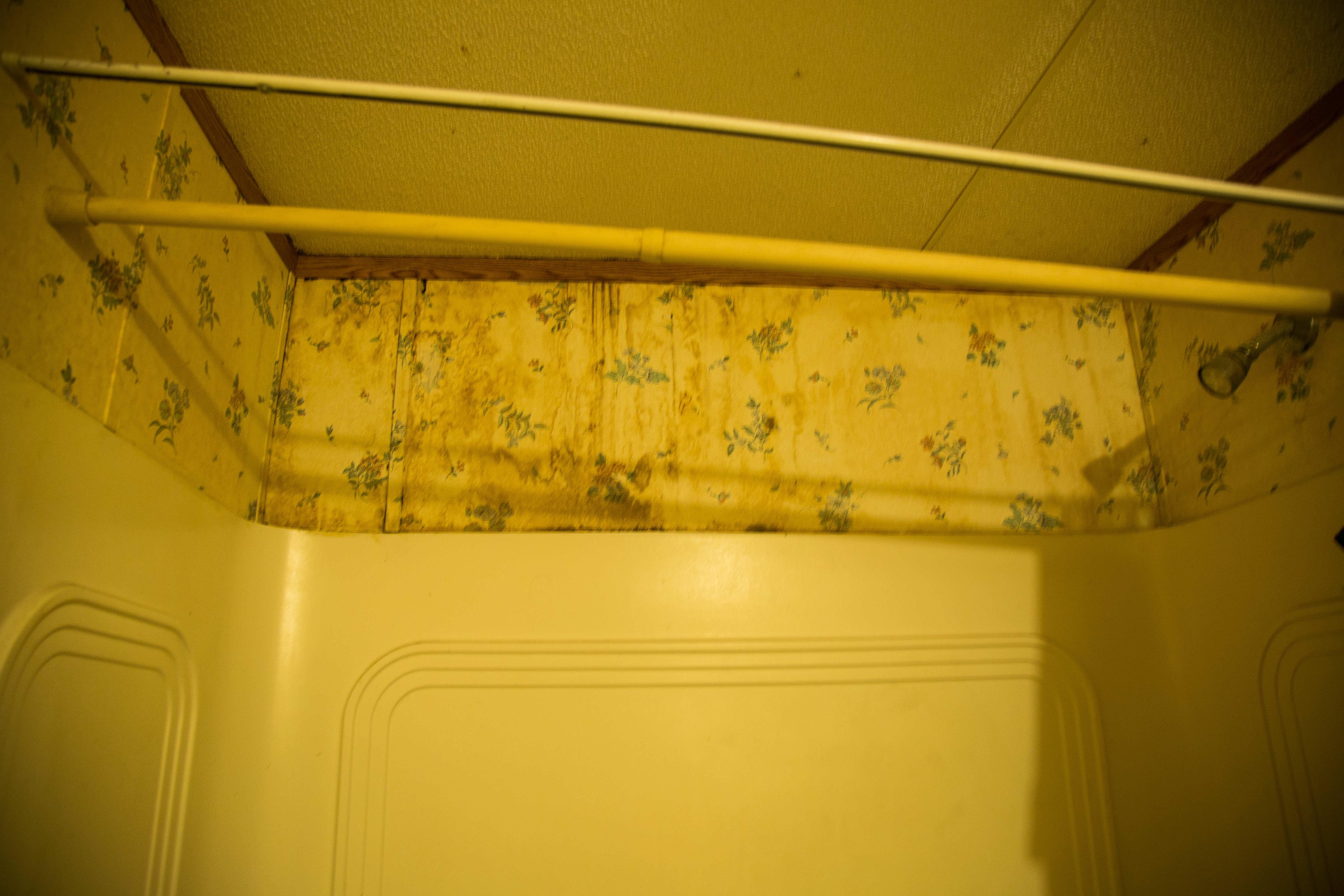 Risser - bathroom remodel before