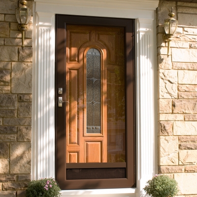 deluxe storm door