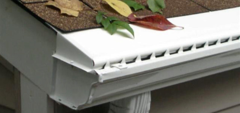 Gutter with guard