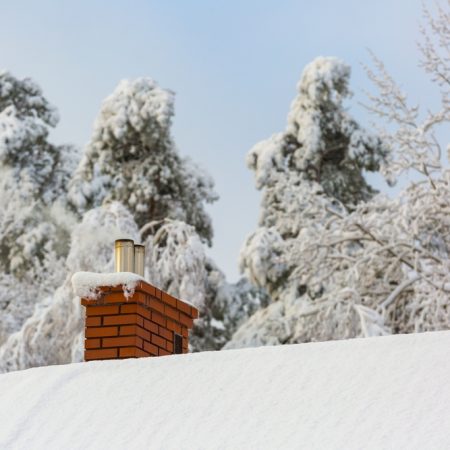 Winter home