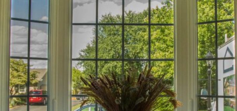 Replacement windows - bay window with a plant on the shelf