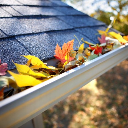 gutters full of leaves