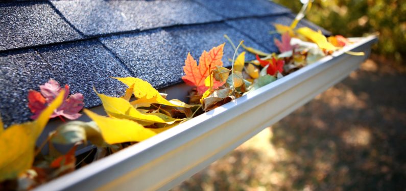 gutters full of leaves