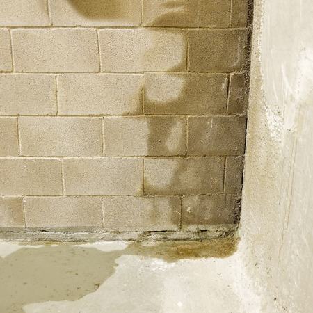 wet concrete wall in a basement