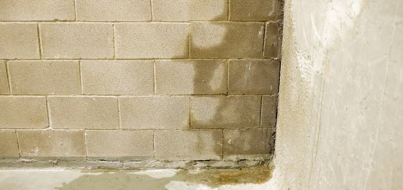 wet concrete wall in a basement