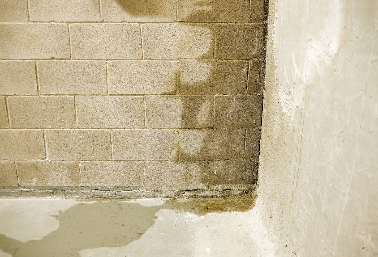 5 Signs Your Basement Has Excess Moisture Zephyr Thomas